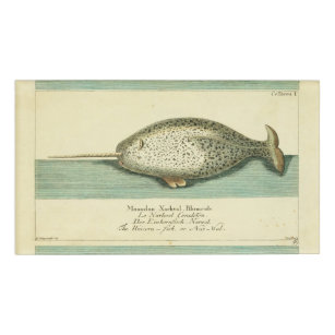 Narwhal Antique Whale Aquarellmalerei Namenschild