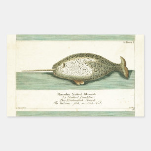 Narwhal Antique Whale Aquarellmalerei Rechteckiger Aufkleber