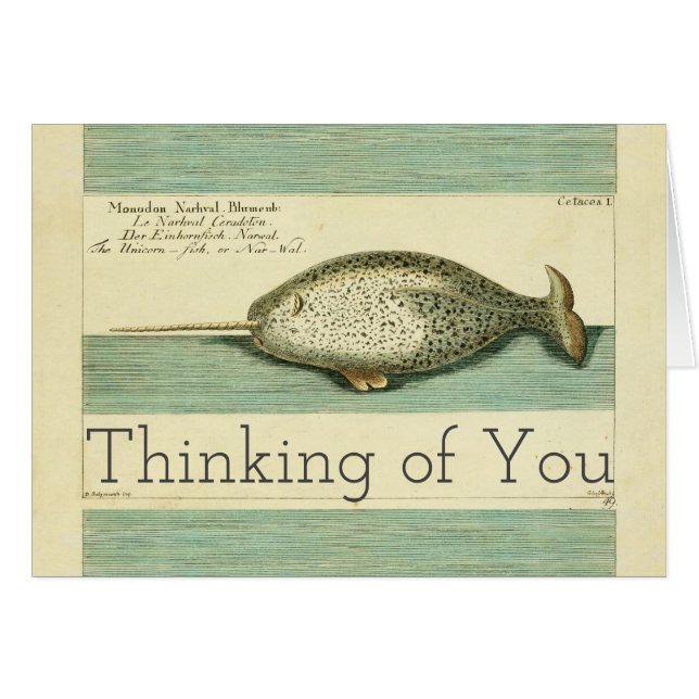 Narwhal Antique Whale Watercolor Wissenschaftliche (Vorderseite (Horizontal))