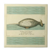 Narwhal Antique Whale Watercolor Wissenschaftliche Fliese (Vorderseite)