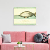 Narwhal Antique Whale Watercolor Wissenschaftliche Leinwanddruck (Insitu (Wohnzimmer))