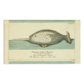 Narwhal Antique Whale Watercolor Wissenschaftliche Namenschild (Vorderseite)