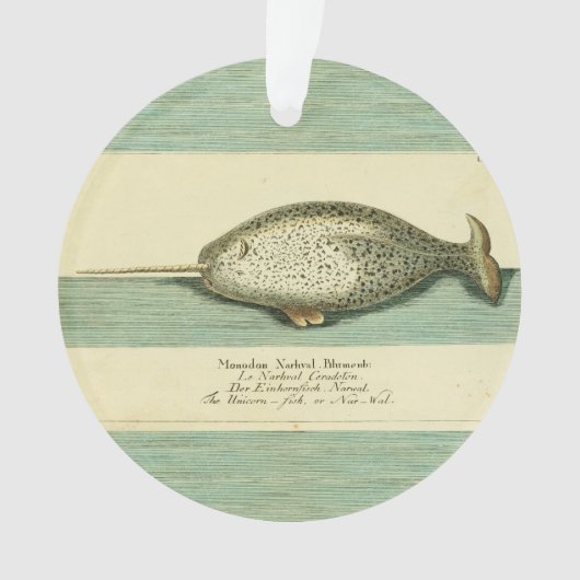 Narwhal Antique Whale Watercolor Wissenschaftliche Ornament (Vorderseite)