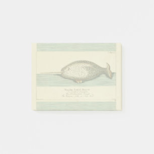 Narwhal Antique Whale Watercolor Wissenschaftliche Post-it Klebezettel
