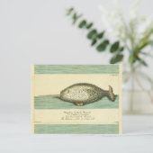 Narwhal Antique Whale Watercolor Wissenschaftliche Postkarte (Stehend Vorderseite)