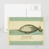 Narwhal Antique Whale Watercolor Wissenschaftliche Postkarte (Vorne/Hinten)