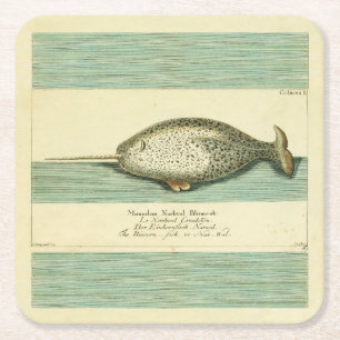 Narwhal Antique Whale Watercolor Wissenschaftliche Rechteckiger Pappuntersetzer