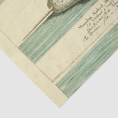Narwhal Antique Whale Watercolor Wissenschaftliche Seidenpapier (Ausschnitt)