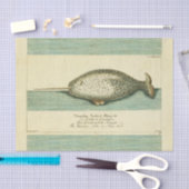Narwhal Antique Whale Watercolor Wissenschaftliche Seidenpapier (Handwerk)