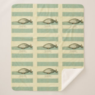 Narwhal Antique Whale Watercolor Wissenschaftliche Sherpadecke