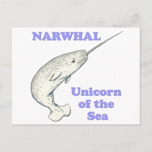 Narwhal Einhorn des Meeres Postkarte (Vorderseite)