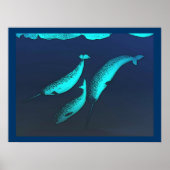 Narwhal Poster (Vorne)