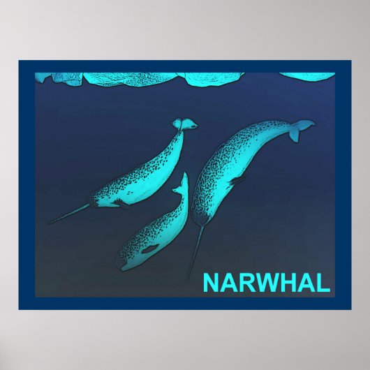 Narwhal Poster (Vorne)