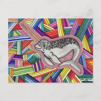 Narwhal Postkarte