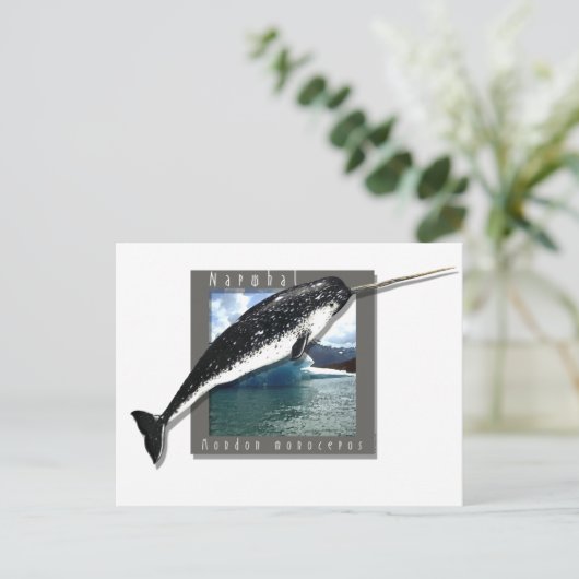 Narwhal Postkarte (Stehend Vorderseite)