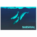 Narwhal unter dem Eis Fotoskulptur Magnet<br><div class="desc">Es gibt drei Narwale, Monodon Monoceros, die unter dem arktischen Eis schwimmen. Fügen Sie Ihren eigenen Text hinzu. Der Narwal ist mit dem Beluga-Wal verwandt und lebt das ganze Jahr über in der Arktis. Sie befinden sich hauptsächlich in den Gewässern Grönlands und Kanadas, selten südlich von 65°N. Breitengrad. Männchen wiegen...</div>