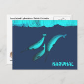 Narwhal unter dem Eis Postkarte (Vorne/Hinten)