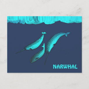 Narwhal unter dem Eis Postkarte