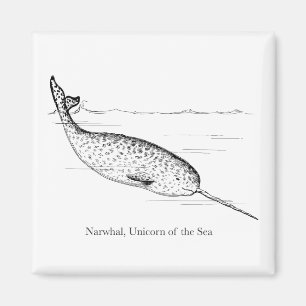 Narwhal Whale Einhorn des Meeres Magnet