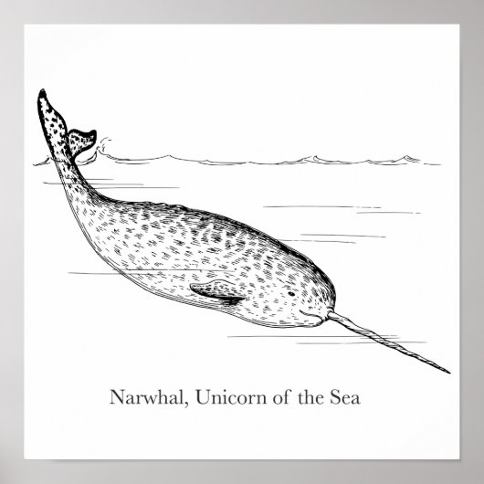 Narwhal Whale Einhorn des Meeres Poster (Vorne)