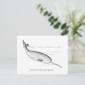 Narwhal Whale Einhorn des Meeres Postkarte (Stehend Vorderseite)