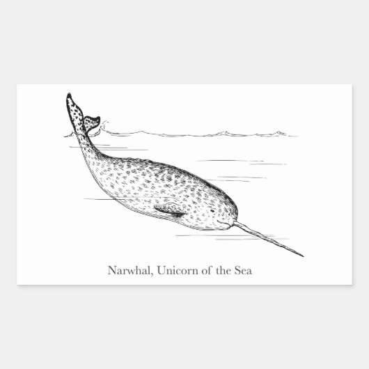 Narwhal Whale Einhorn des Meeres Rechteckiger Aufkleber (Vorderseite)
