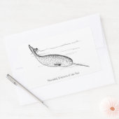 Narwhal Whale Einhorn des Meeres Rechteckiger Aufkleber (Umschlag)