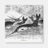 Narwhals Magnet (Vorne)