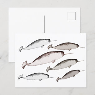 Narwhals Swim - Narwhal Whale Illustration Geschen Postkarte