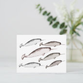 Narwhals Swim - Narwhal Whale Illustration Geschen Postkarte (Stehend Vorderseite)