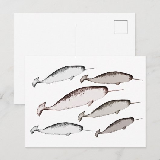 Narwhals Swim - Narwhal Whale Illustration Geschen Postkarte (Vorne/Hinten)
