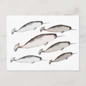 Narwhals Swim - Narwhal Whale Illustration Geschen Postkarte (Vorderseite)