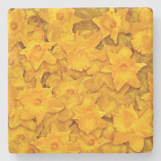 Narziss-Blume Steinuntersetzer (Vorderseite)