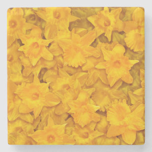 Narziss-Blume Steinuntersetzer