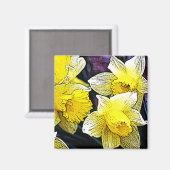 Narziss Magnet (Vorderseite/Rückseite)