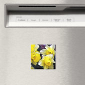 Narziss Magnet (In Situ (Geschirrspüler))