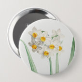 Narziss, Pierre-Joseph Redouté, 1805 Button (Vorne & Hinten)