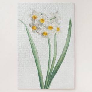 Narziss, Pierre-Joseph Redouté, 1805 Puzzle