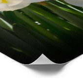 Narziss Poster (Ecke)