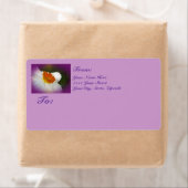 Narziss - Springtime Beauty (Insitu)