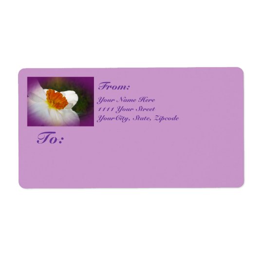 Narziss - Springtime Beauty (Vorne)