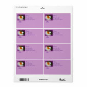 Narziss - Springtime Beauty (Vorne)