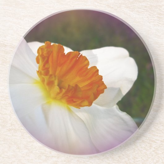 Narziss - Springtime Beauty Untersetzer (Vorne)