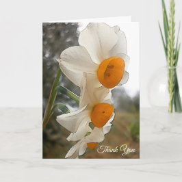 Narzisse. Blume Dankeskarte
