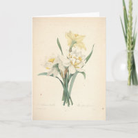 Narzisse durch Redoute botanische Beileids-Karte