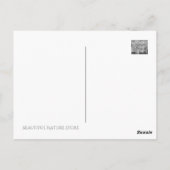 Narzisse "Early Sensation" [Postkarte] Postkarte (Rückseite)