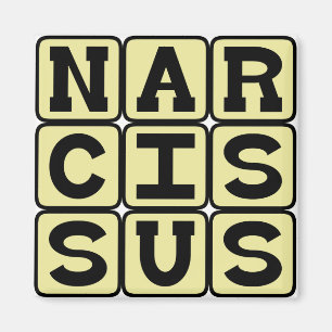 Narzisse, griechische Mythos Magnet