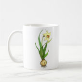 Narzisse Kaffeetasse (Links)