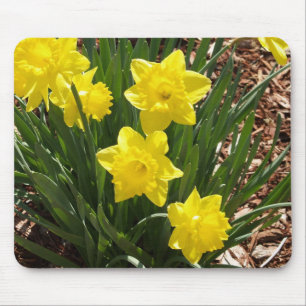 Narzisse Mousepad