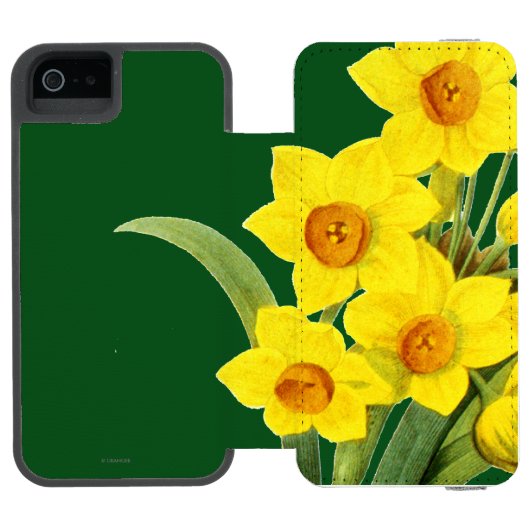 Narzisse (N Tazetta) Incipio iPhone Geldbeutel-Hülle (Folio Geöffnet)